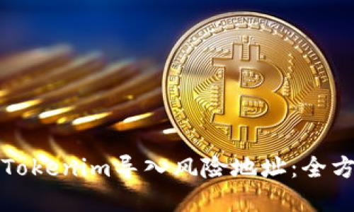 如何在Tokenim导入风险地址：全方位指南
