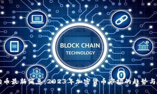 狗狗币最新消息：2023年加密货币市场的趋势与展望