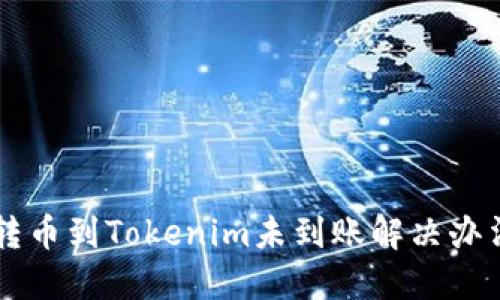 转币到Tokenim未到账解决办法
