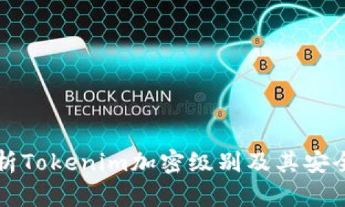 深入解析Tokenim加密级别及其安全性分析