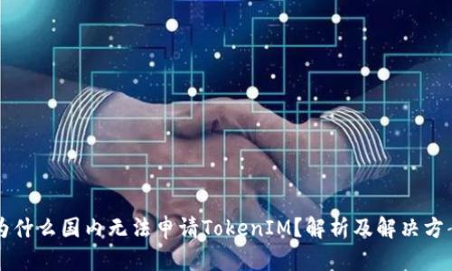 为什么国内无法申请TokenIM？解析及解决方案