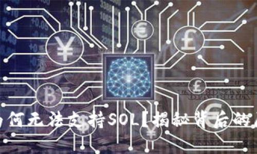 思考Tokenim为何无法支持SOL？揭秘背后的原因及解决方案