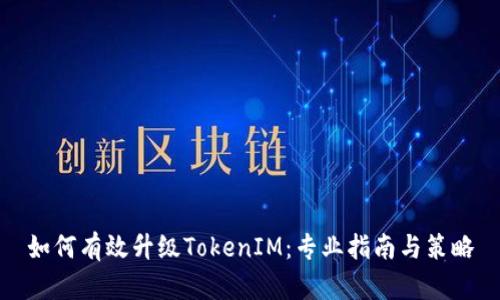 如何有效升级TokenIM：专业指南与策略