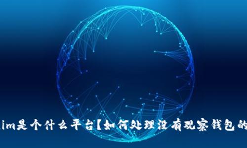 Tokenim是个什么平台？如何处理没有观察钱包的情况？