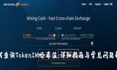 如何查询TokenIM哈希值：详细指南与常见问题解答