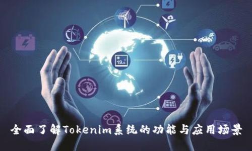 全面了解Tokenim系统的功能与应用场景