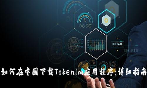 如何在中国下载Tokenim应用程序：详细指南