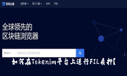 如何在Tokenim平台上进行FIL质押？