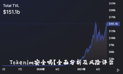 Tokenim安全吗？全面分析及风险评估