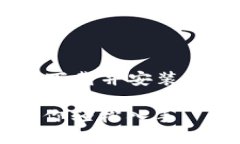 为了帮助用户更好地找到“购宝钱包下载并安装