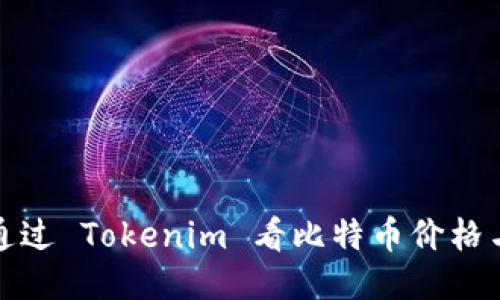 如何通过 Tokenim 看比特币价格与走势