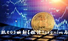 Tokenim能否实现EOS映射？探讨Tokenim与EOS的相互关系