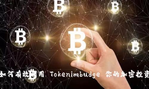如何有效利用 Tokenimbudge 你的加密投资
