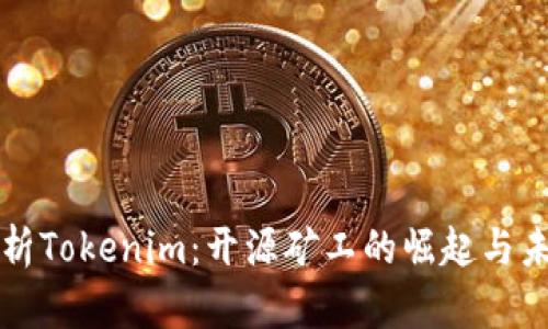 全面解析Tokenim：开源矿工的崛起与未来展望