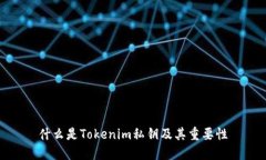 什么是Tokenim私钥及其重要性
