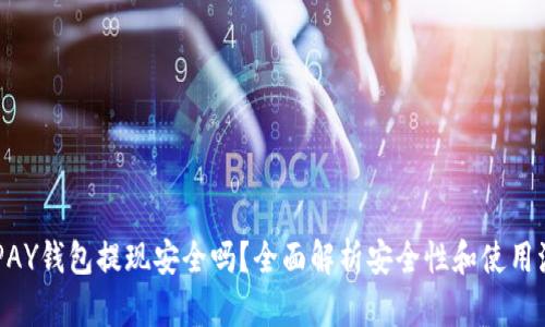 KDPAY钱包提现安全吗？全面解析安全性和使用流程