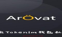 如何安全导出Tokenim钱包私钥？详尽指南