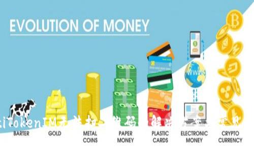 bianotiTokenIM无法扫二维码的解决方案与常见问题解析