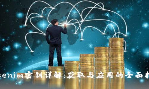 Tokenim密钥详解：获取与应用的全面指南