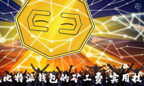 
如何降低比特派钱包的矿工费：实用技巧与策略