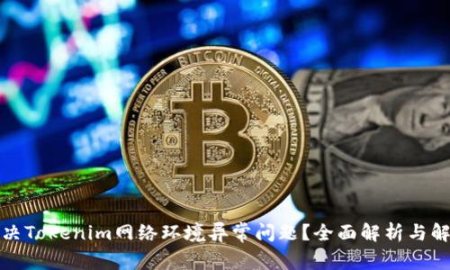 如何解决Tokenim网络环境异常问题？全面解析与解决方案