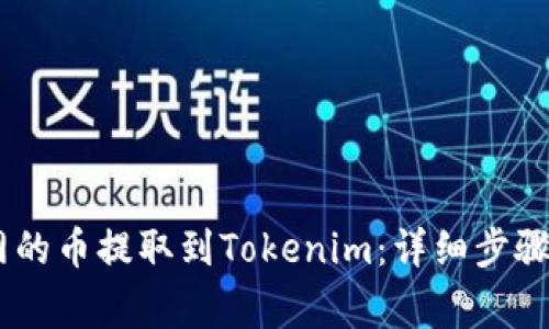 如何将ZB网的币提取到Tokenim：详细步骤与注意事项