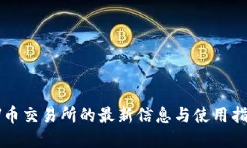 VV币交易所的最新信息与使用指南