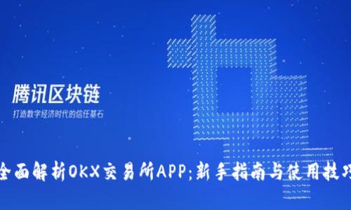 全面解析OKX交易所APP：新手指南与使用技巧