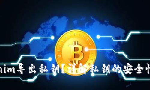 什么是Tokenim导出私钥？详解私钥的安全性和操作流程