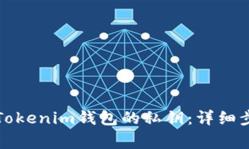如何安全导出Tokenim钱包的私钥：详细步骤与注意事项