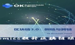 如何有效利用Tokenomics提升区块链项目的价值与可