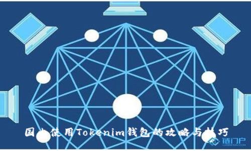 国内使用Tokenim钱包的攻略与技巧