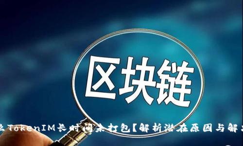为什么TokenIM长时间未打包？解析潜在原因与解决方案