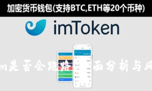 Tokenim是否会跑路？全面分析与风险评估