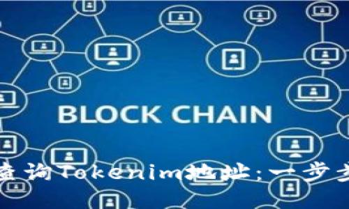 如何查询Tokenim地址：一步步指南