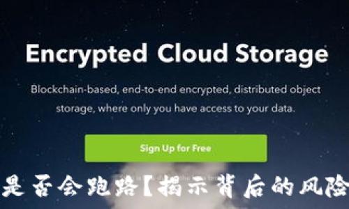   
虚拟币平台是否会跑路？揭示背后的风险与安全对策