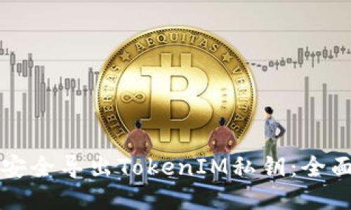 如何安全导出TokenIM私钥：全面指南