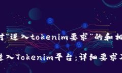 以下是针对“进入tokenim要求”的和相关关键词：