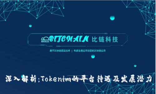 深入解析：Tokenim的平台待遇及发展潜力