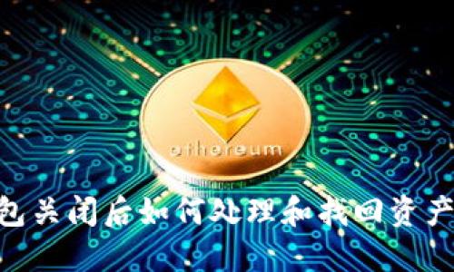Tokenim钱包关闭后如何处理和找回资产的完整指南