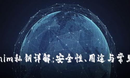 Tokenim私钥详解：安全性、用途与常见问题