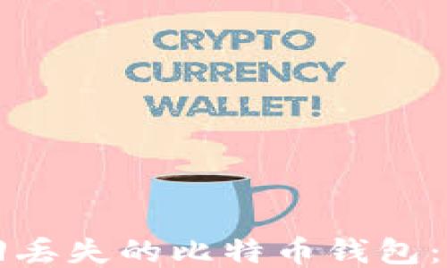 
如何找回丢失的比特币钱包：全面指南