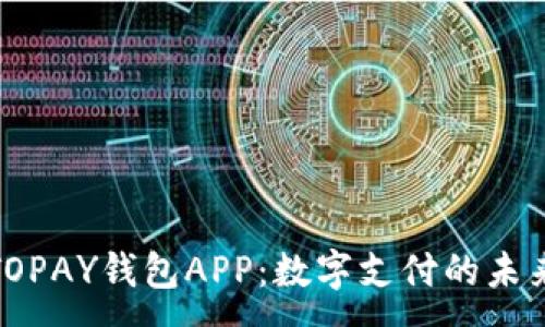 :
探索TOPAY钱包APP：数字支付的未来选择