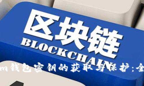 Tokenim钱包密钥的获取与保护：全面解析