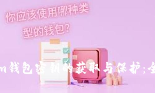 Tokenim钱包密钥的获取与保护：全面解析