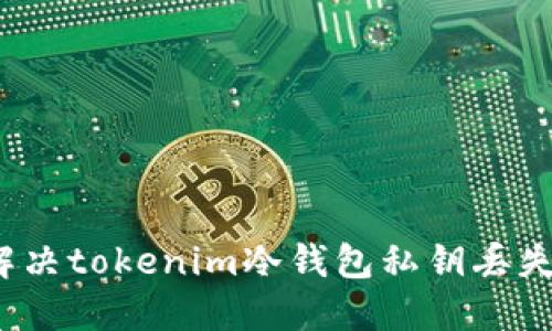 如何解决tokenim冷钱包私钥丢失问题？