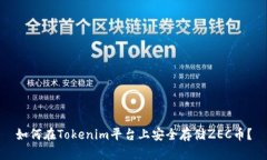 如何在Tokenim平台上安全存储ZEC币？