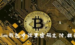 如何在Tokenim钱包中设置密码支付，提升资金安全