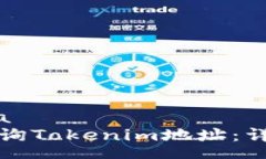 schema如何查询Tokenim地址：详细指南