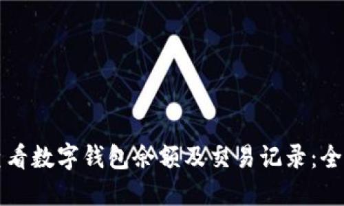 如何查看数字钱包余额及交易记录：全面指南